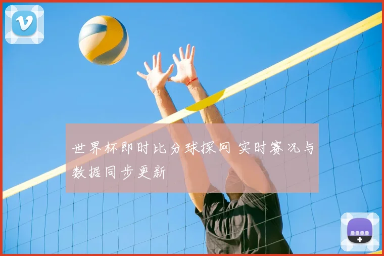 世界杯即时比分球探网 实时赛况与数据同步更新