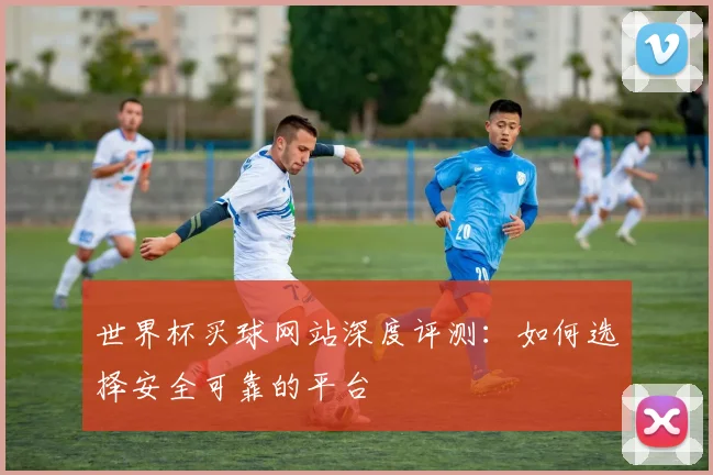 世界杯买球网站深度评测：如何选择安全可靠的平台