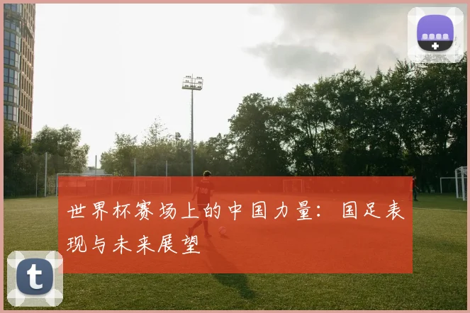 世界杯赛场上的中国力量：国足表现与未来展望