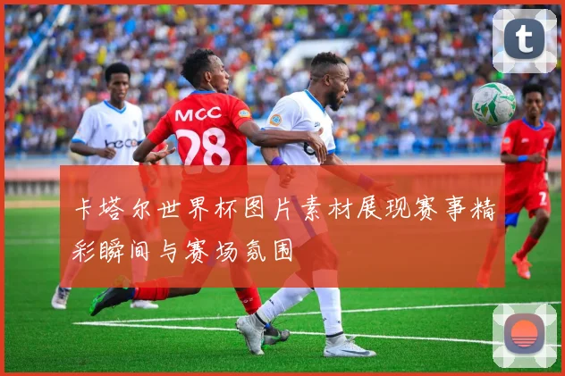 卡塔尔世界杯图片素材展现赛事精彩瞬间与赛场氛围