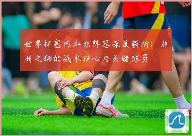 世界杯塞内加尔阵容深度解析：非洲之狮的战术核心与关键球员