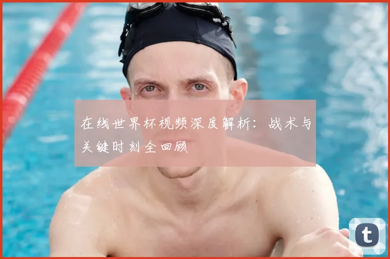 在线世界杯视频深度解析：战术与关键时刻全回顾