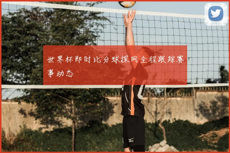 世界杯即时比分球探网全程跟踪赛事动态