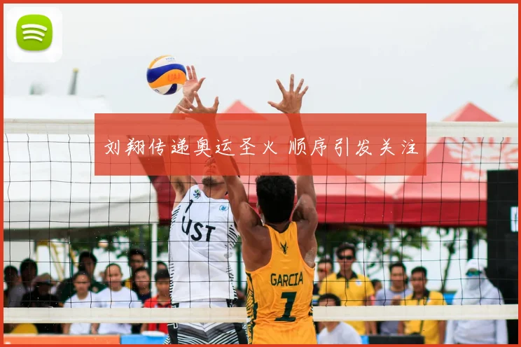 刘翔传递奥运圣火 顺序引发关注