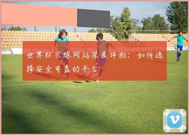 世界杯买球网站深度评测：如何选择安全可靠的平台