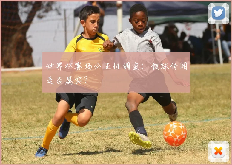 世界杯赛场公正性调查：假球传闻是否属实？