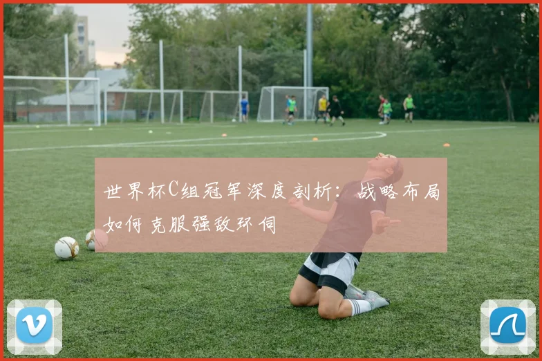 世界杯C组冠军深度剖析：战略布局如何克服强敌环伺