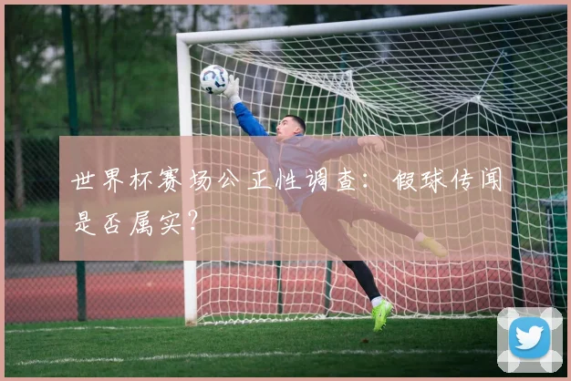 世界杯赛场公正性调查：假球传闻是否属实？